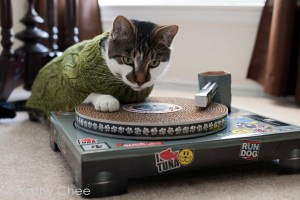 cats_turntable_02small