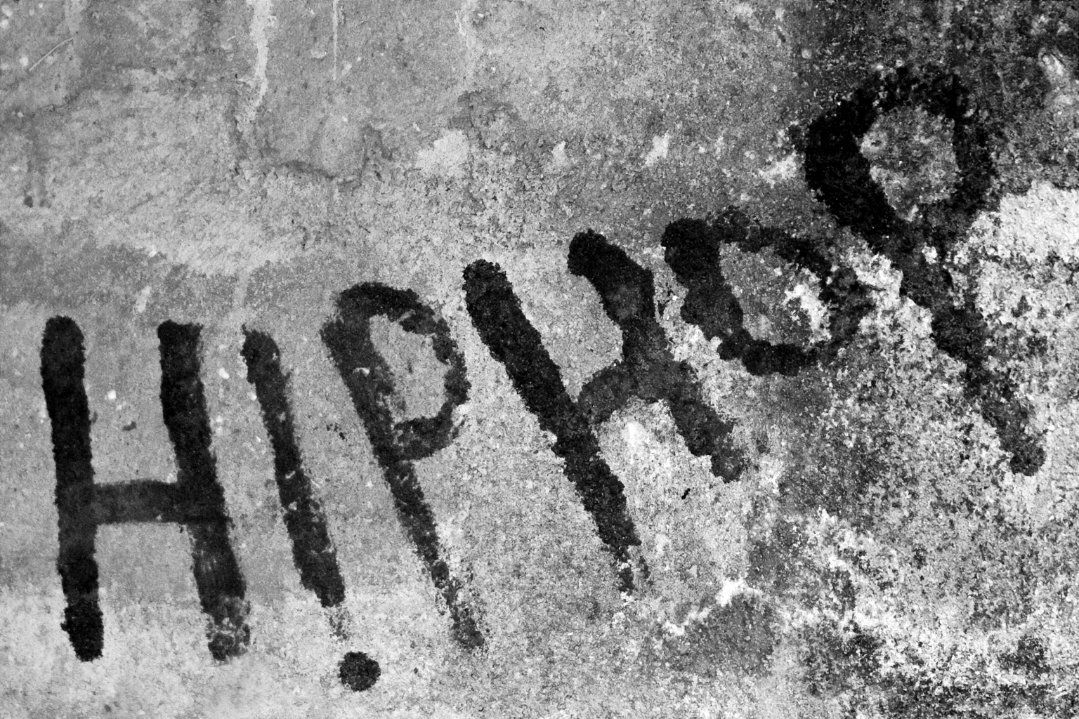 3549109679_0a3c89d163_o